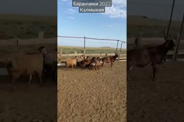 Как восстановить пароль на кракене