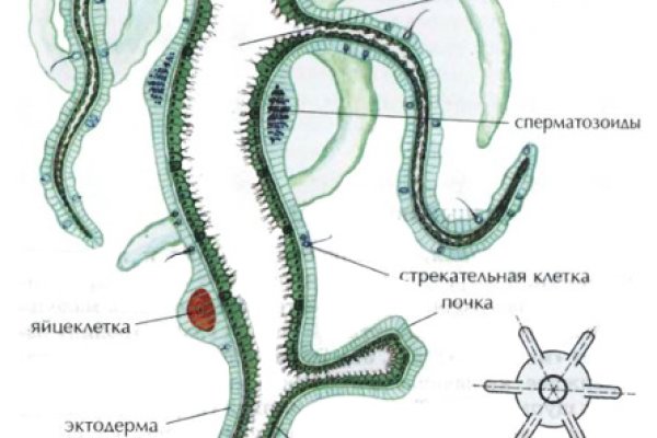 Кракен даркнет маркет ссылка тор