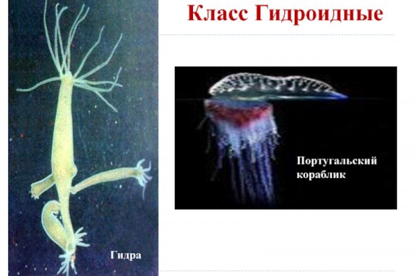 Кракен дарк сайт