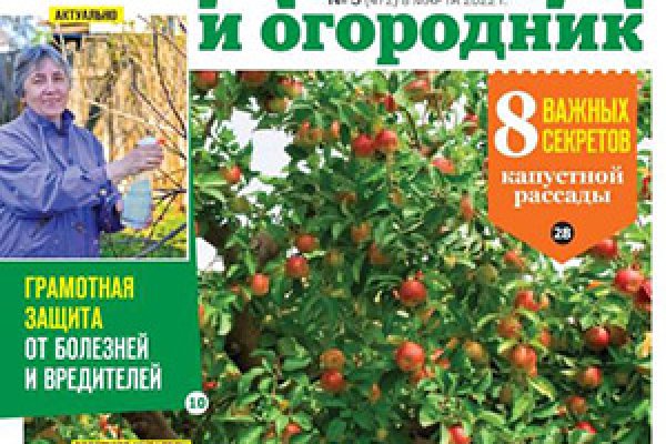 Кракен сайт ссылка онлайн