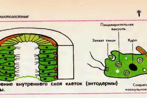 Kraken магазин интернет